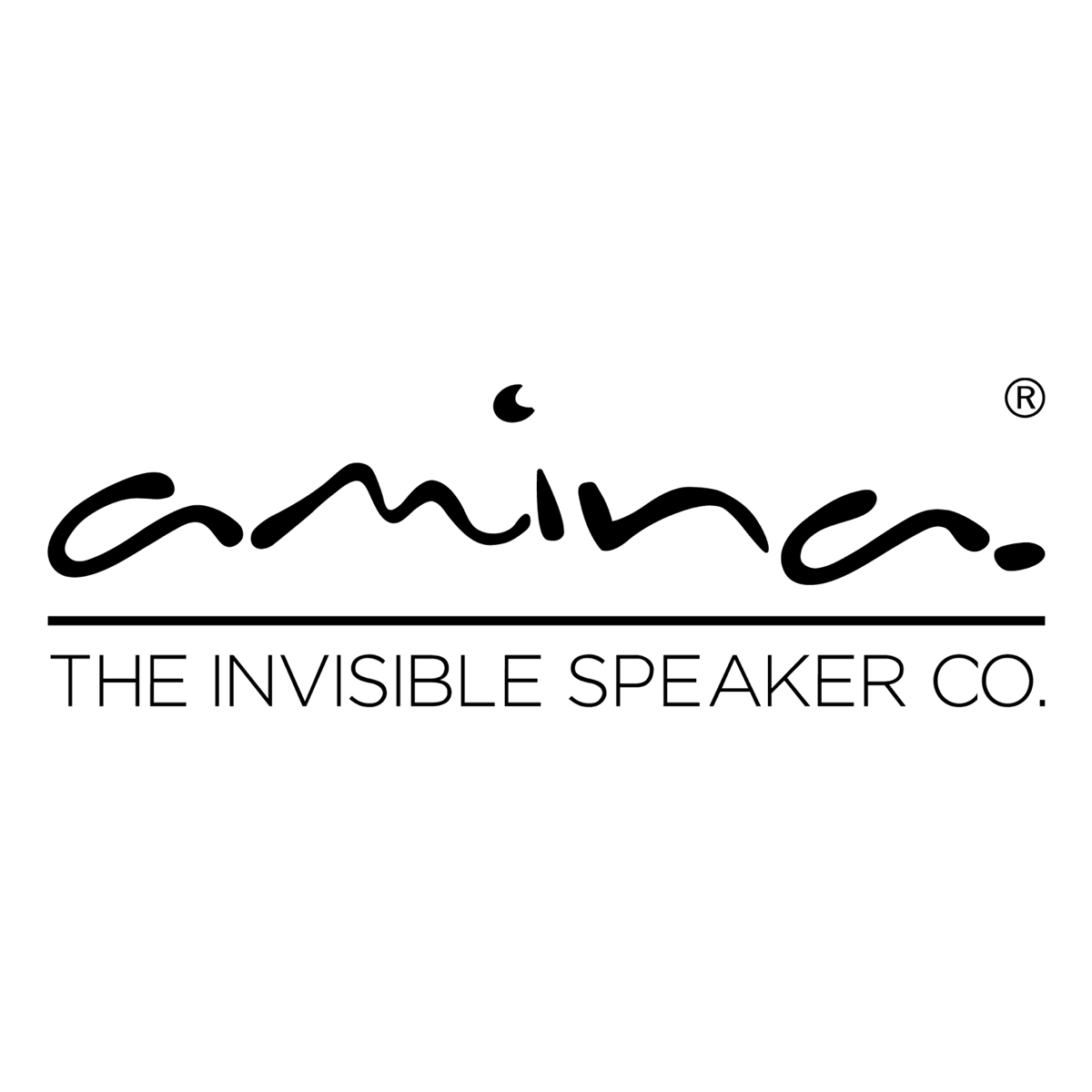 Amina Technologies
